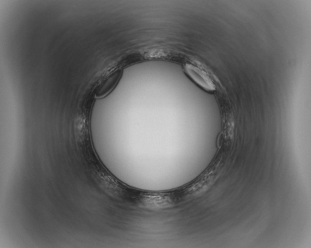X0000113570521200909181002