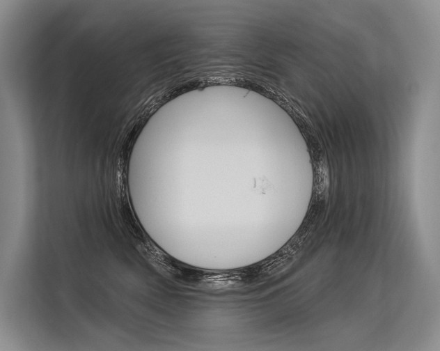 X0000113570522200909181002
