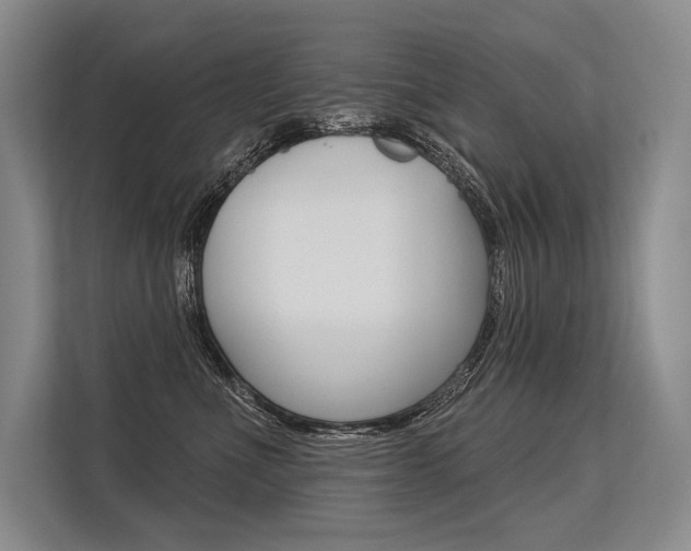 X0000113570523200909181002