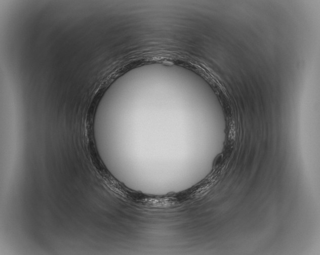 X0000113570524200909181002