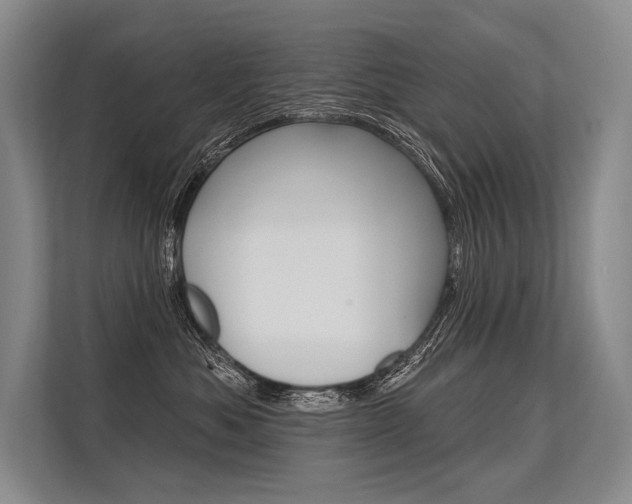 X0000113570525200909181002