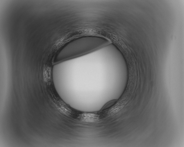 X0000113570528200909181002