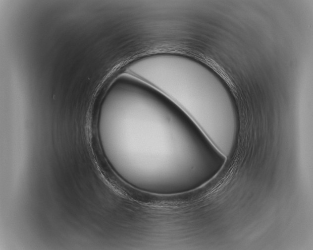 X0000113570530200909181001