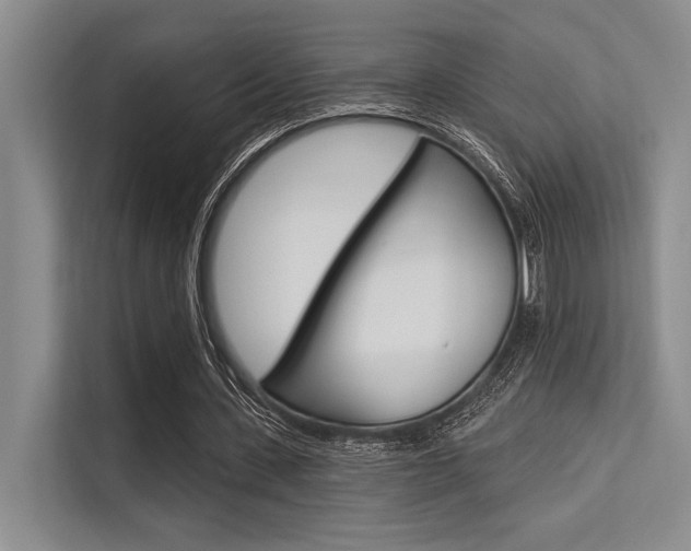 X0000113570531200909181001