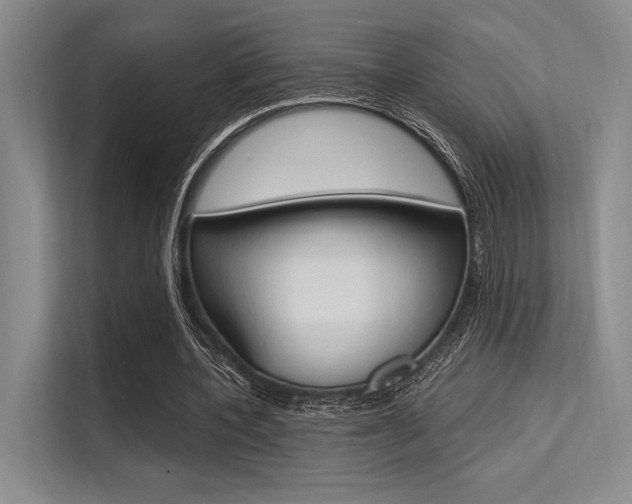 X0000113570532200909181001