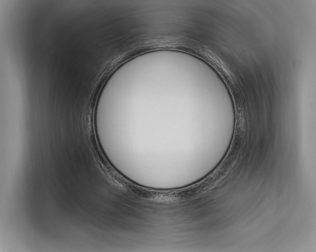 X0000113570537200909181001