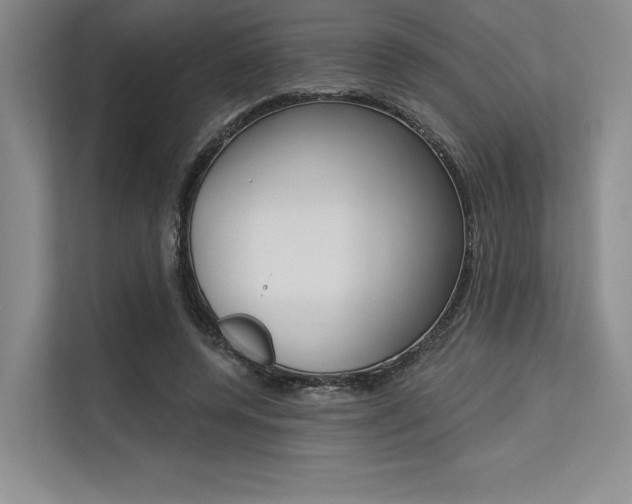 X0000113570544200909181001