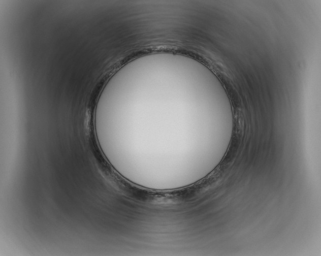X0000113570550200909181001