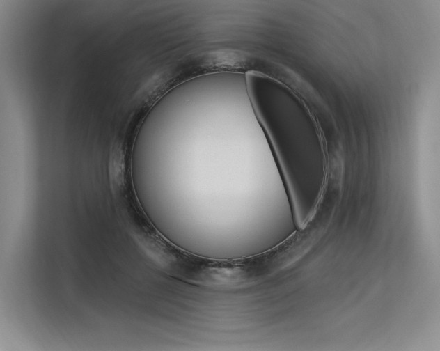 X0000113570552200909181001