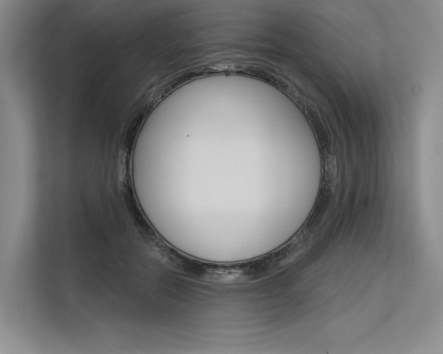X0000113570554200909181001