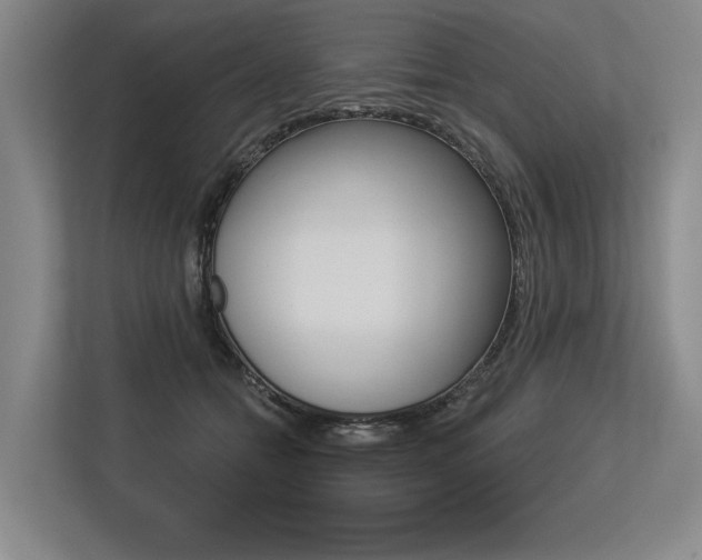 X0000113570558200909181001