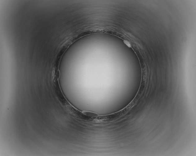 X0000113570560200909181001