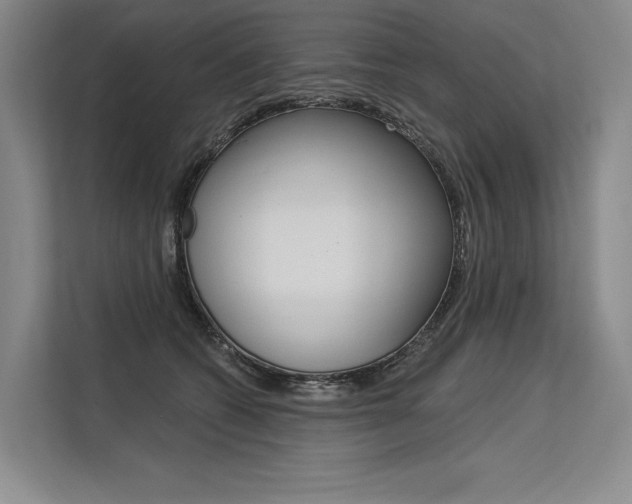 X0000113570562200909181002