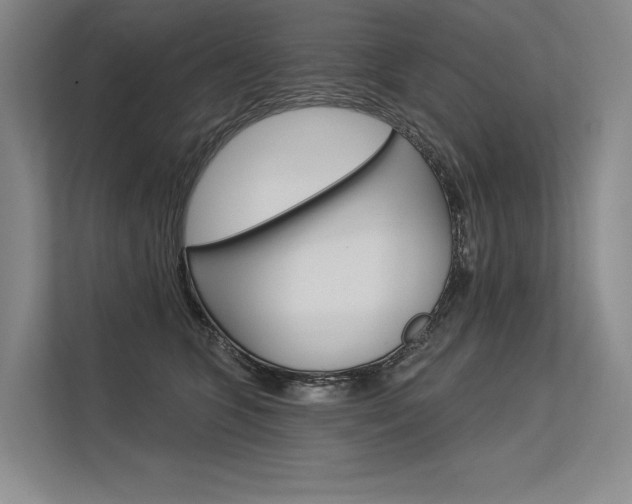 X0000113570563200909181002