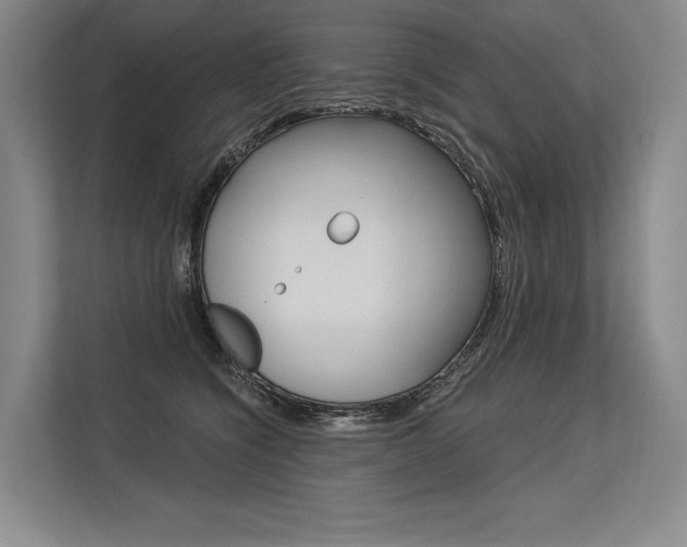 X0000113570564200909181002