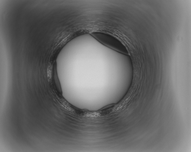 X0000113570576200909181002