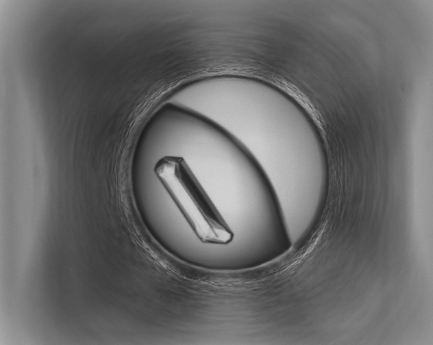 X0000113570577200909181001