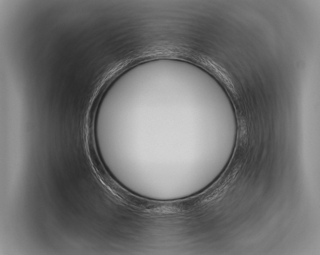 X0000113570578200909181001