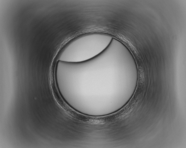 X0000113570582200909181001
