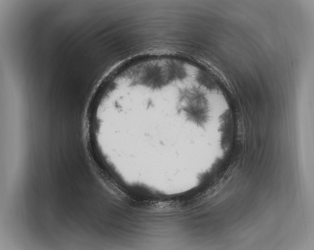 X0000113570584200909181001