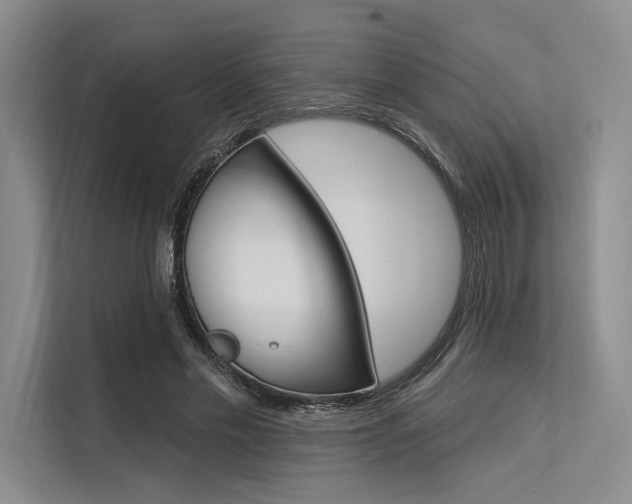 X0000113570589200909181001
