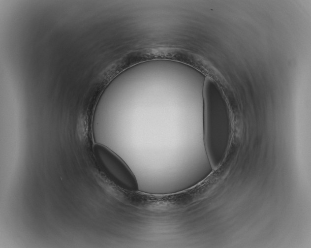 X0000113570593200909181001