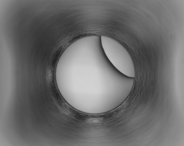 X0000113570595200909181001