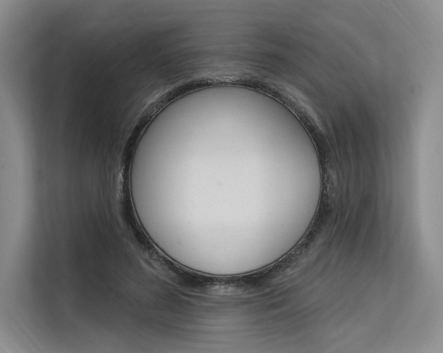 X0000113570596200909181001