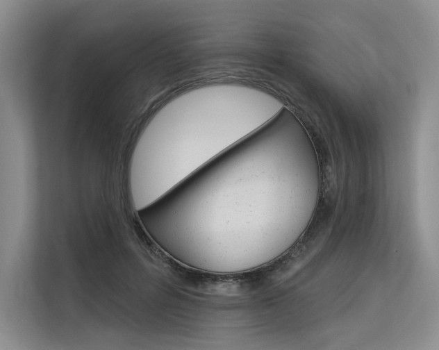 X0000113570600200909181001