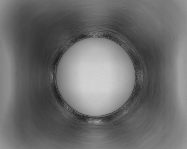 X0000113570602200909181001
