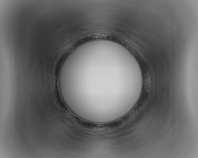 X0000113570608200909181001