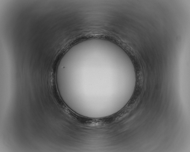 X0000113570612200909181001
