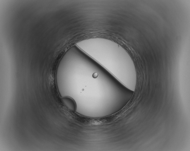 X0000113570613200909181001