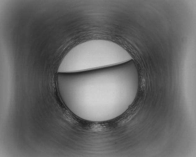 X0000113570616200909181001
