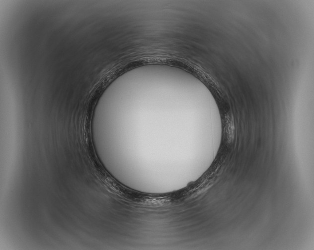 X0000113570619200909181001