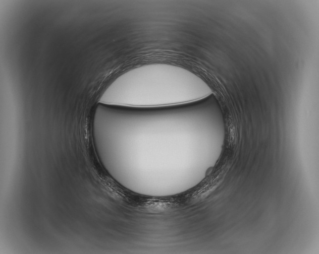 X0000113570620200909181001