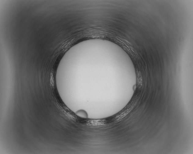 X0000113570622200909181000
