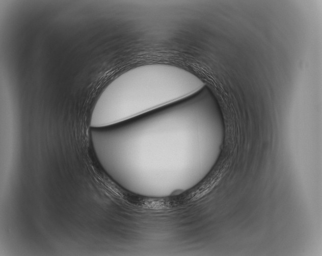X0000113570624200909181000