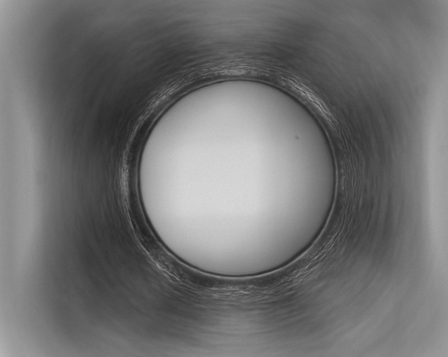 X0000113570626200909181000