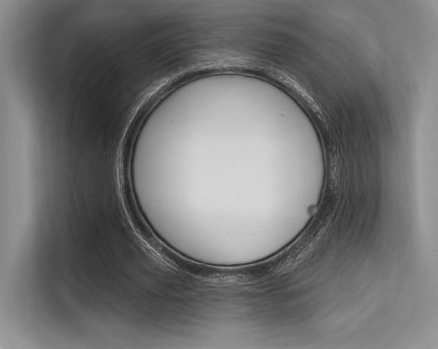 X0000113570629200909181000