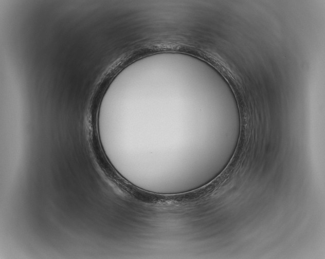 X0000113570634200909181000