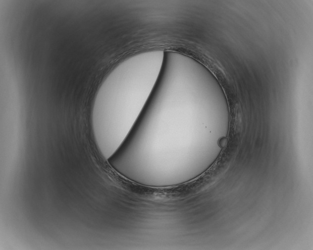 X0000113570641200909181000