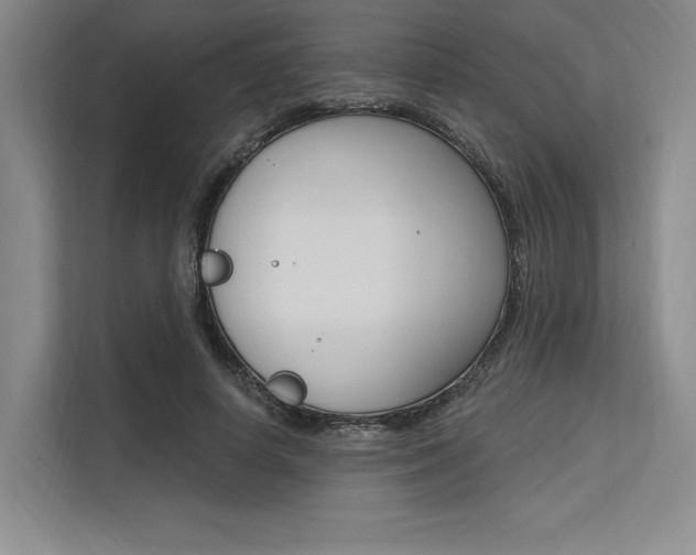 X0000113570642200909181000