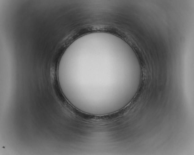 X0000113570648200909181000