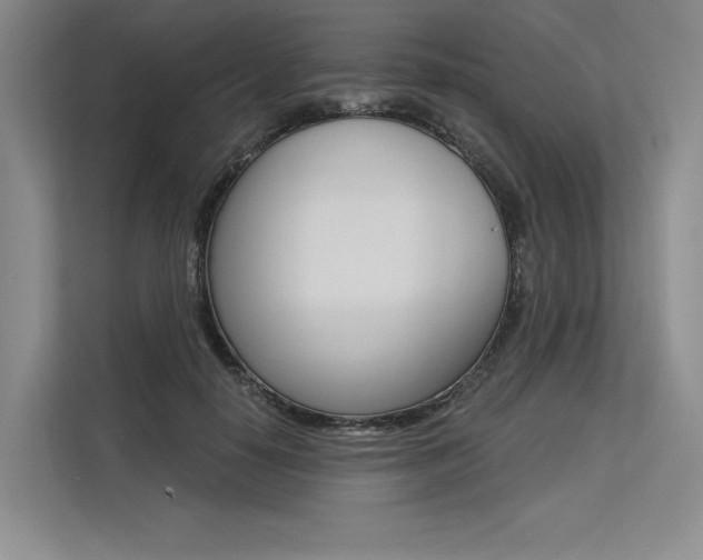 X0000113570650200909181000