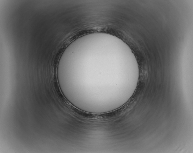 X0000113570656200909181000