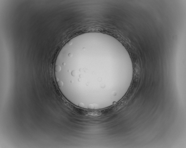 X0000113570659200909181000