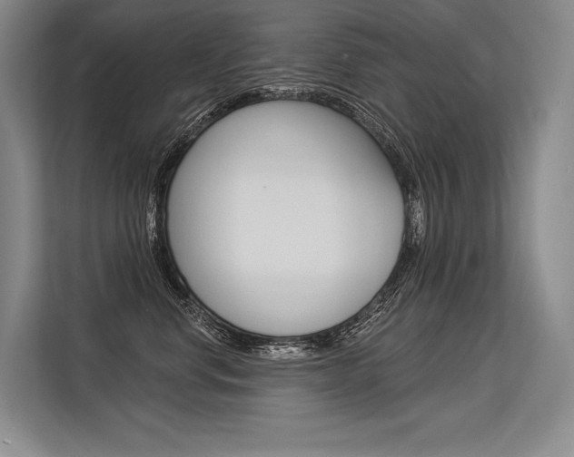 X0000113570668200909181000