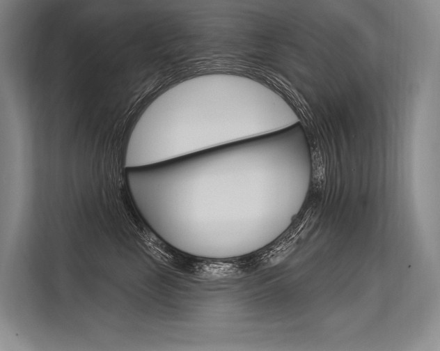 X0000113570669200909181000
