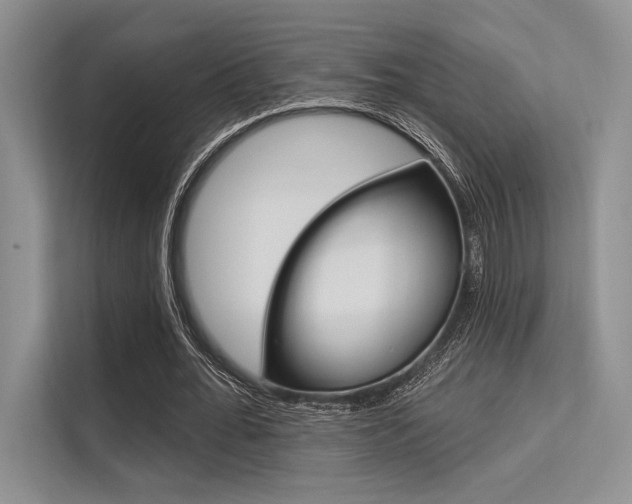 X0000113570676200909181000